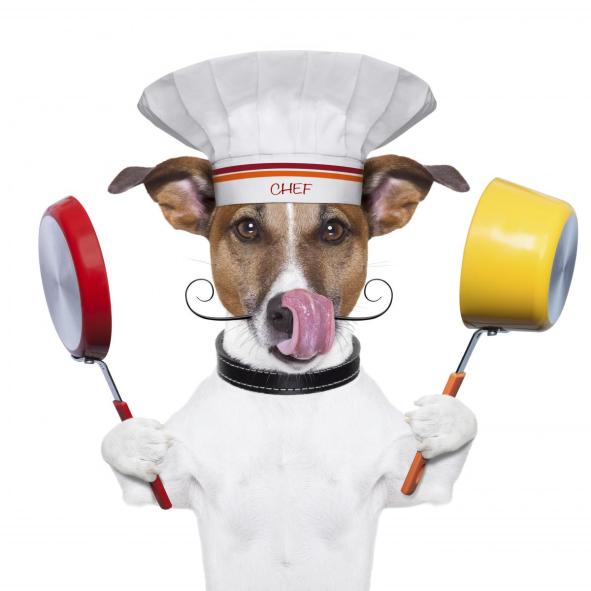 istockphoto_thinkstock_dog_chef